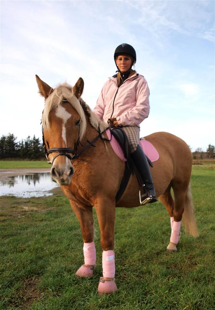 Anden særlig race Buffy - Stævne i vror, 3. plads i lb1 :) billede 1