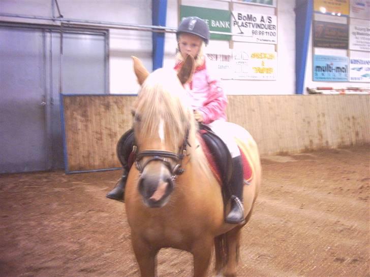 Anden særlig race Buffy - Buffy med Maria. billede 5