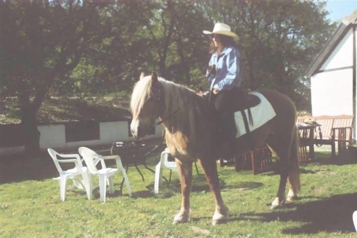 Anden særlig race Buffy - Mig og Buffy rider western for første gang. billede 6