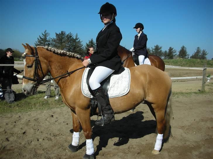 Anden særlig race Buffy - Buffy og Kamilla til stævne i HH. billede 7