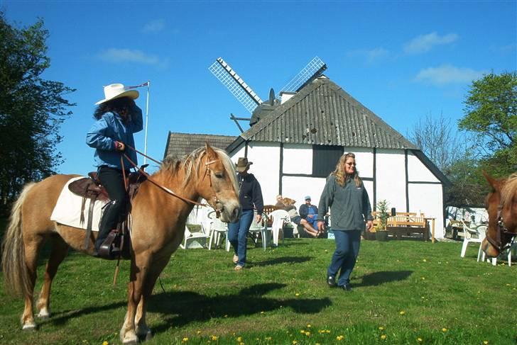 Anden særlig race Buffy - Mig og Buffy rider western for første gang. billede 8
