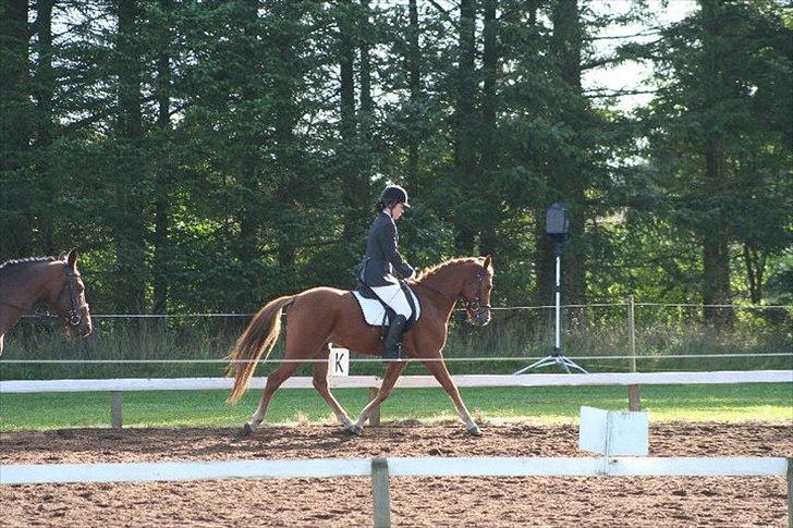 DSP Larsmindes Filanté-SOLGT billede 9