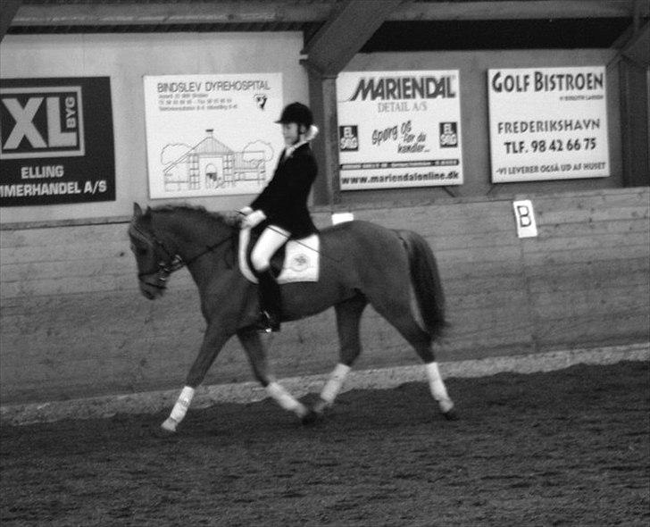 DSP Larsmindes Filanté-SOLGT billede 13