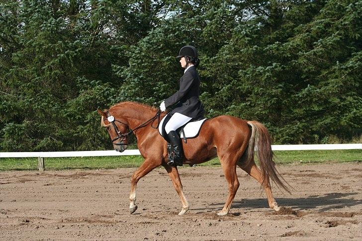 DSP Larsmindes Filanté-SOLGT billede 14