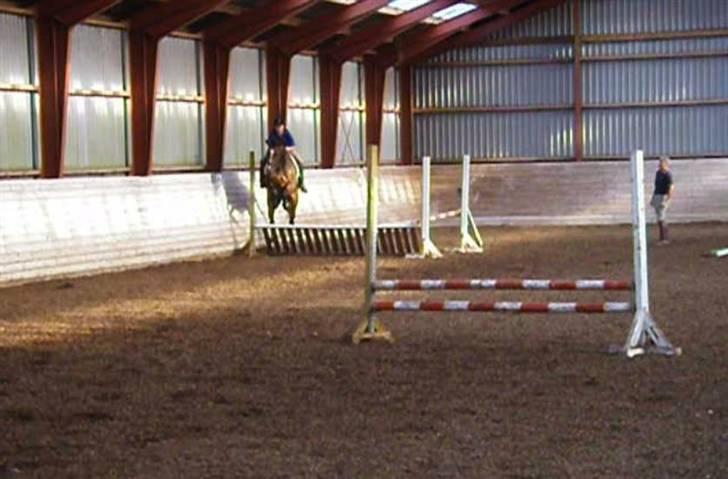 Dansk Varmblod Louisianna *R.I.P* <3  - spring undervisning.. ´´Et meget farligt spring, Vi må hellere springe højt over hvis det skulle ske og bide´´  ;P billede 12