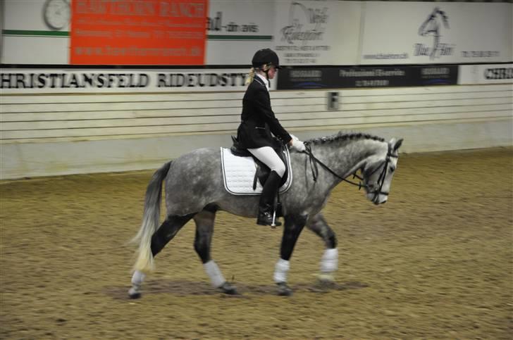 New Forest Firfod Jackpot billede 10