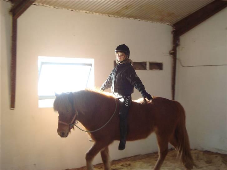 Islænder Buska fra Agersø  - Uden hænder billede 10