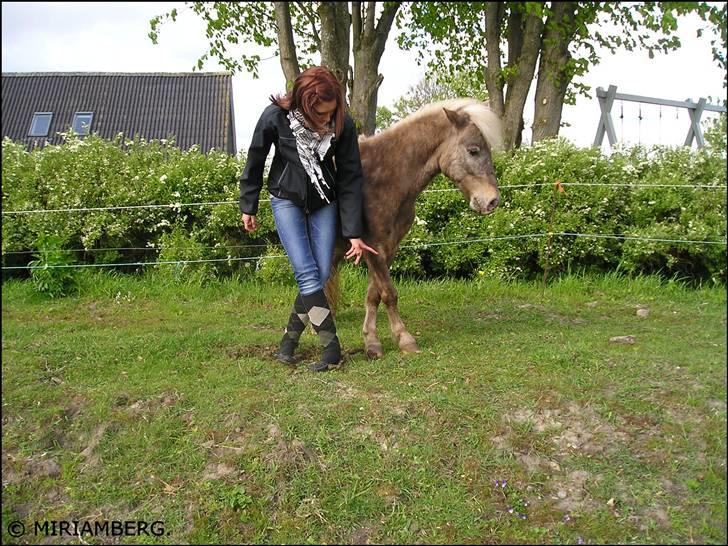 Anden særlig race Figaro - Lidt tricks. - 05-2009. billede 15