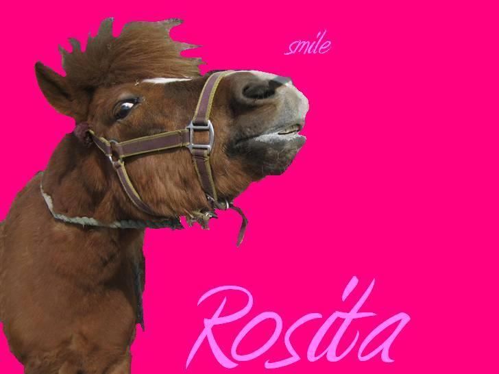 Anden særlig race Rosita <3Red engang - tricks:smile(hun er lige hved at smile her) billede 16