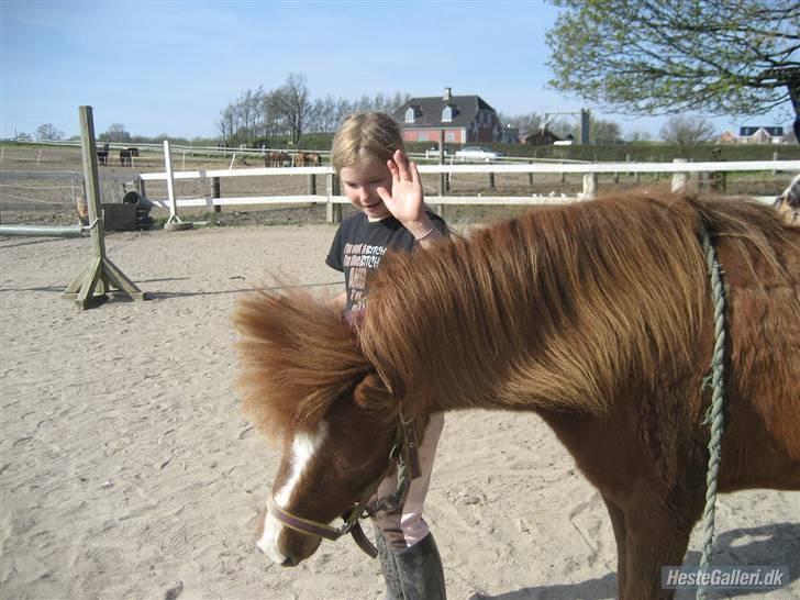 Anden særlig race Rosita <3Red engang - tricks:ryste billede 20