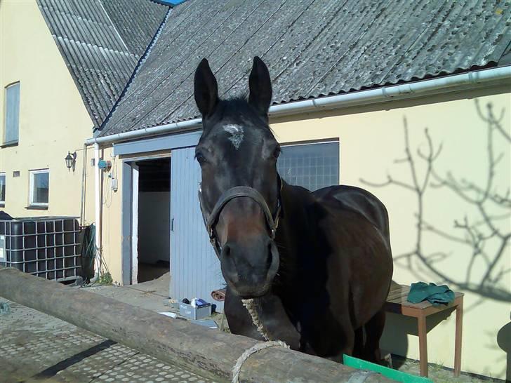 Oldenborg Night Light Tolstrup billede 12