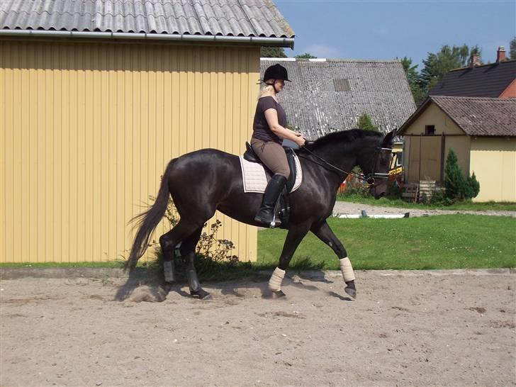 Oldenborg Night Light Tolstrup billede 14