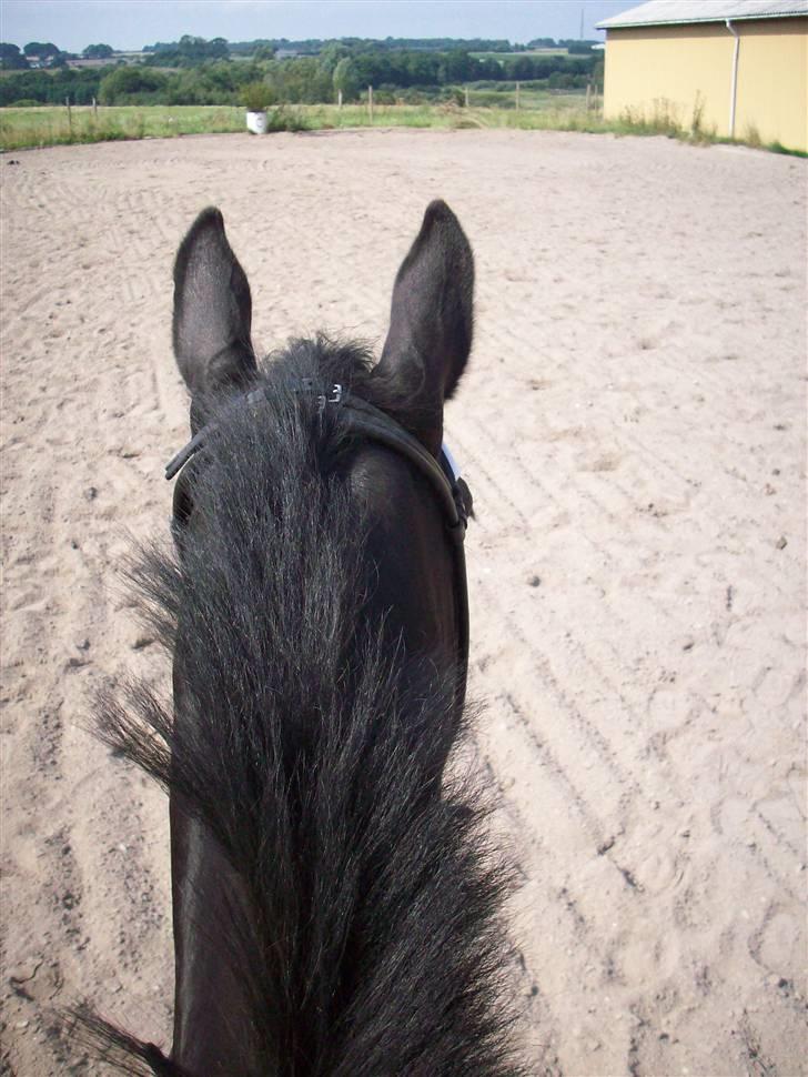 Oldenborg Night Light Tolstrup billede 15