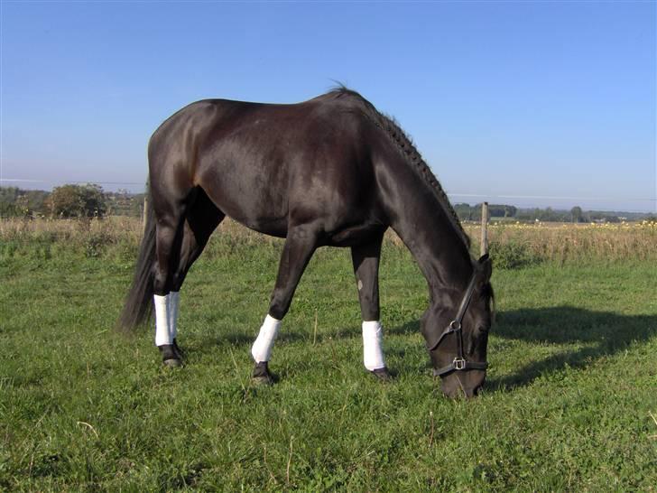 Oldenborg Night Light Tolstrup billede 16