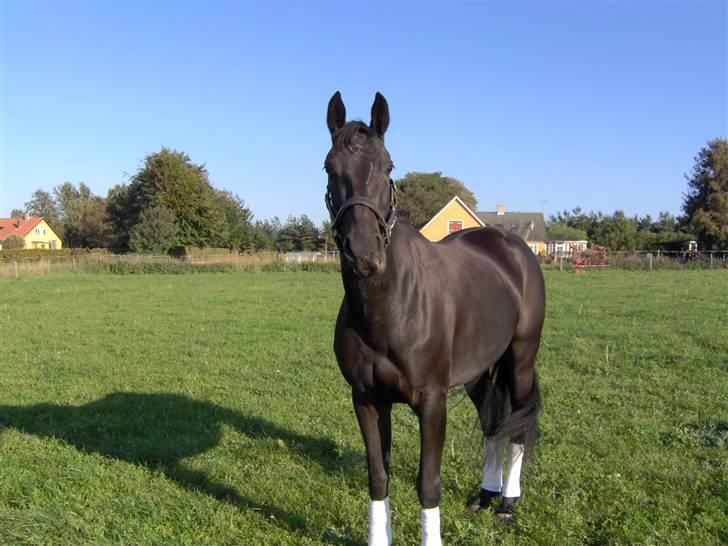 Oldenborg Night Light Tolstrup billede 17