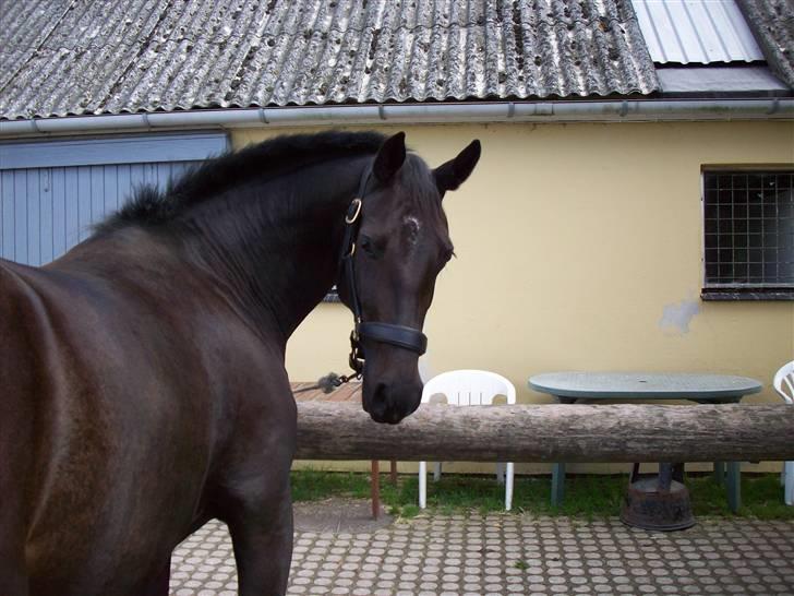 Oldenborg Night Light Tolstrup billede 18