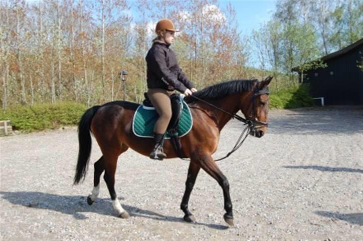 Anden særlig race Coco Popz - Mig og coco på tur..  billede 5