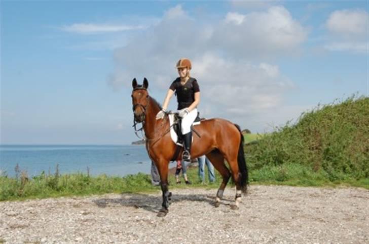 Anden særlig race Coco Popz - Mig og Coco på jagt i tranekær... billede 6