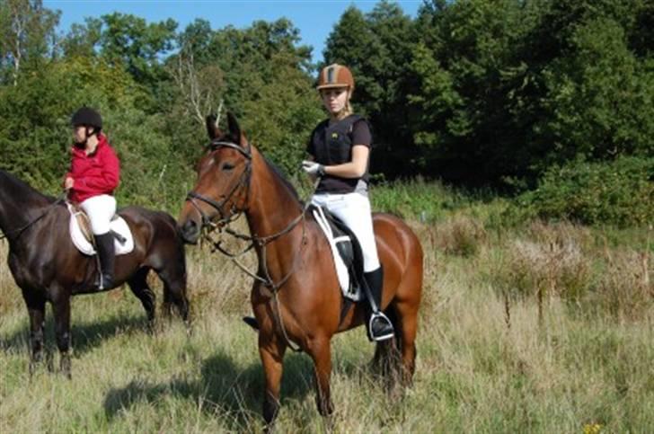 Anden særlig race Coco Popz - Mig og Coco på jagt i tranekær... billede 7