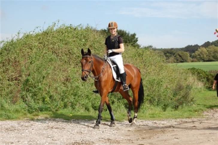 Anden særlig race Coco Popz - Mig og Coco på jagt i tranekær.. billede 8