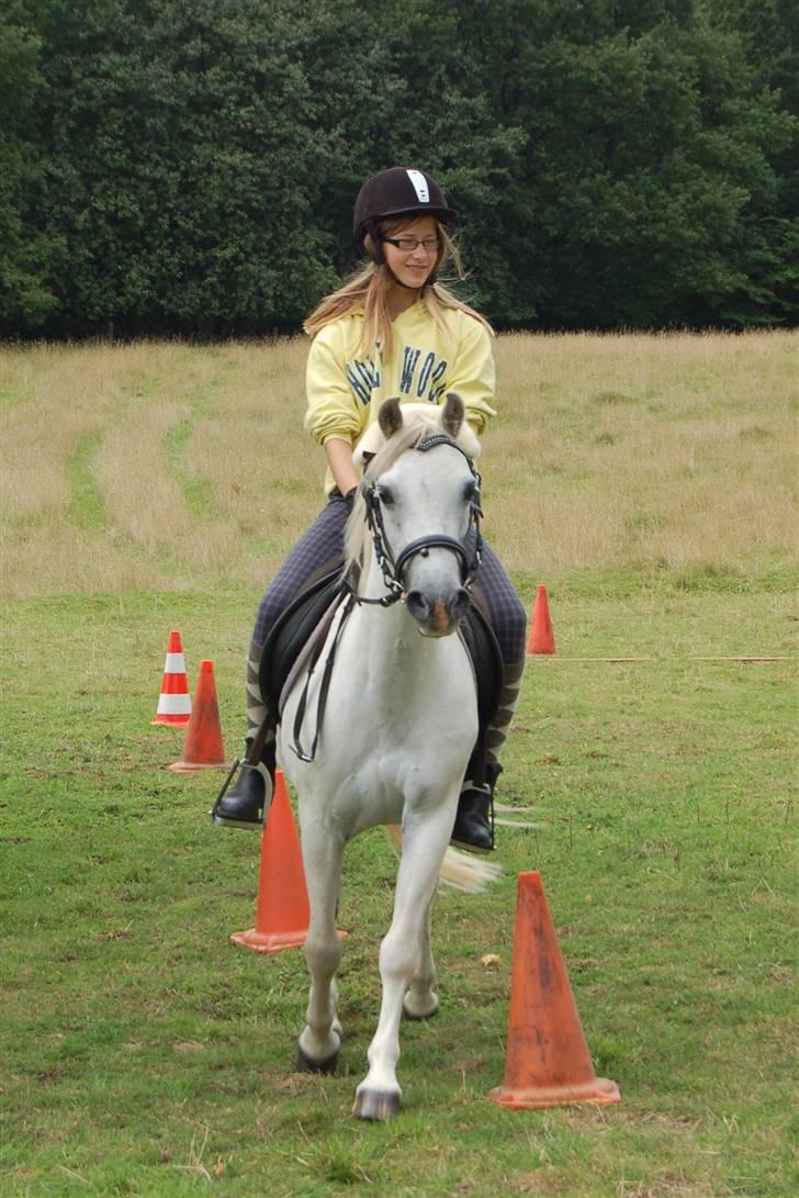 Welsh Mountain (sec A) Lene - Pony Games :D billede 11