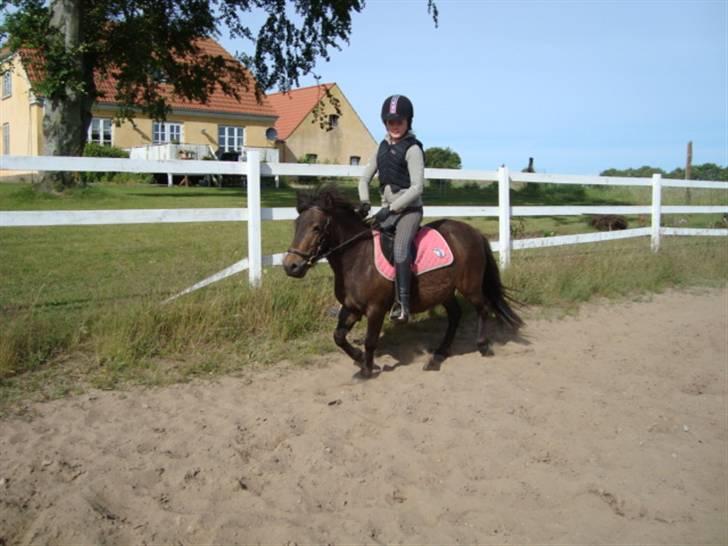 Anden særlig race Beautiful SouL ( solgt ) - 11 gang hun riddes, 17-juni-09 billede 20