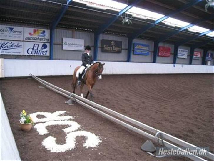 DSP Lundgårds Adonis  - {20} adonis og nye ejer(maria) .. billede 20