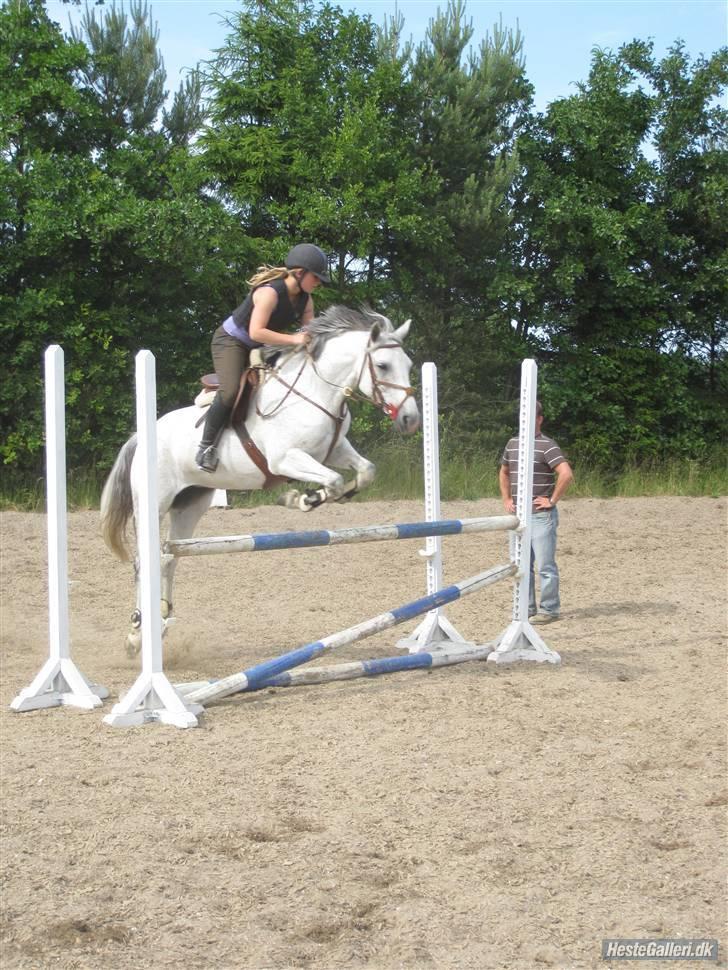 Connemara | Jenny'S Rocket  - sidste træning ;( Du var fin<3 billede 9