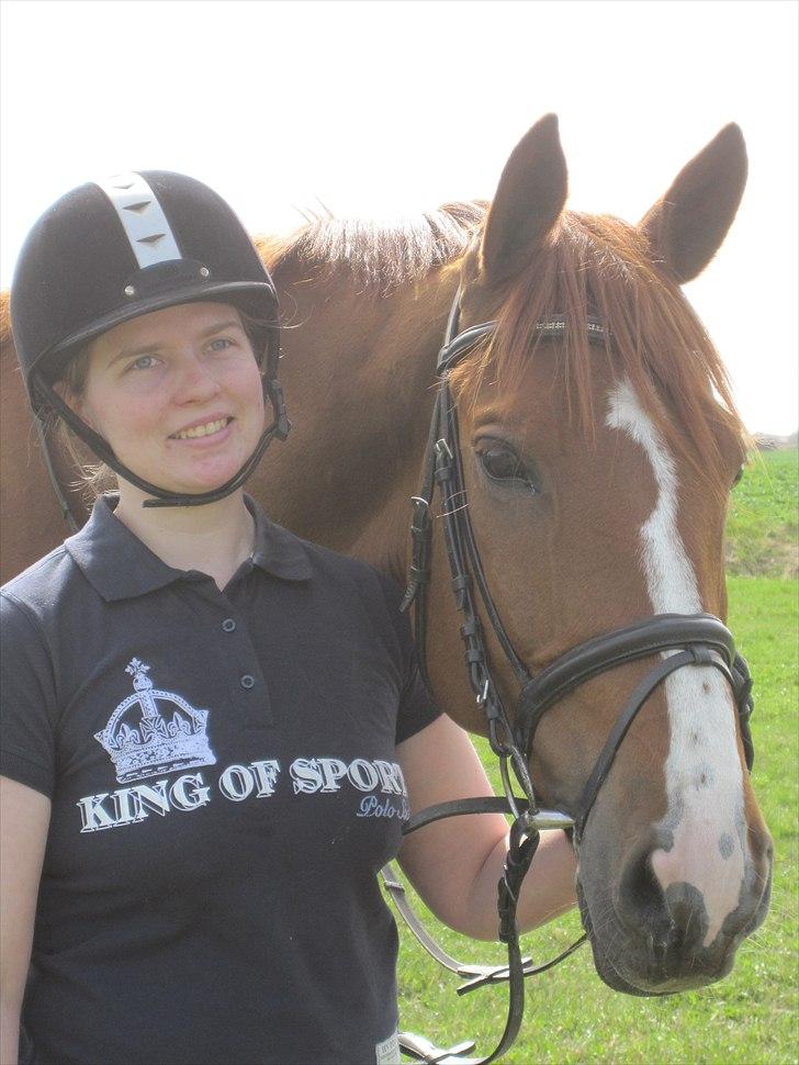 Mecklenburger Orff - Velkommen til Orff´s profil - skriv gerne en kommentar :-)  billede 1