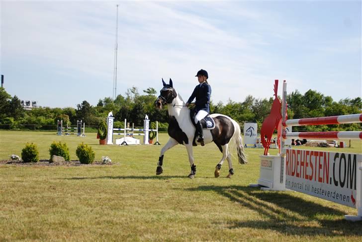 Tysk Sportspony Kiowa 006  *R.I.P* - Kiowa og min søster til landsstævne :) billede 8