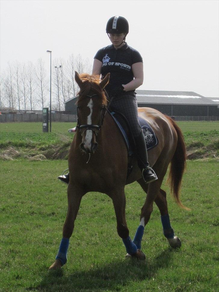 Mecklenburger Orff billede 6