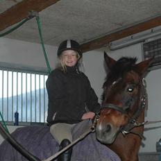 New Forest Sandie Ladager 