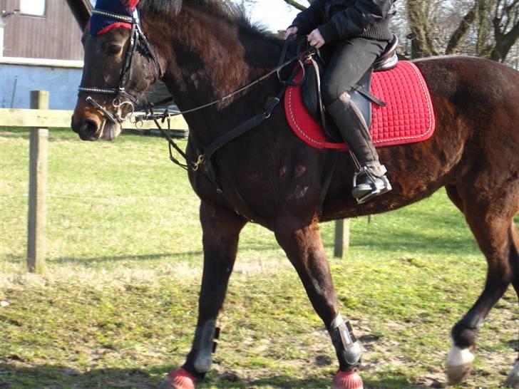 Traver Godiva pride<3 R.I.P ;( - miq&diva <3   billede 4