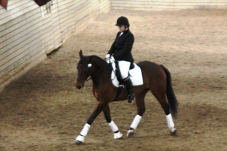 Anden særlig race Nikita   *TUTTE*   >>VBH<< - 7/ Stævne d. 16 april 2011, Ladelund Rideklub. (Foto: Berit Krintel) billede 7