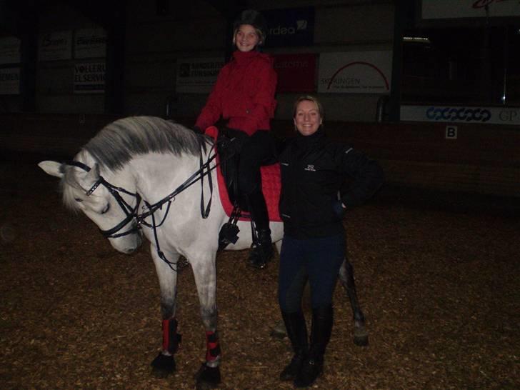 Hollandsk Sportspony Bertha billede 5