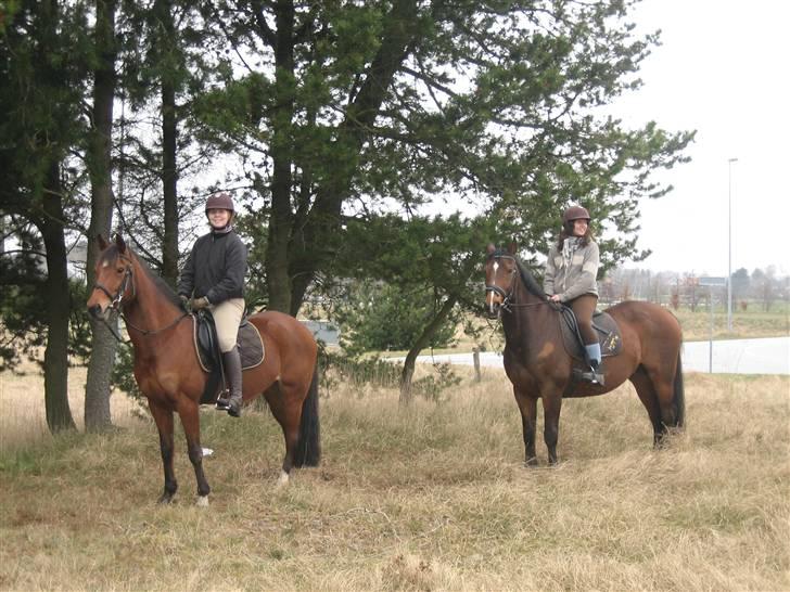 Traver Danielle *Solgt* - Mig og Trines sidste tur sammen på de to tosser :´) billede 19