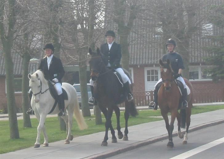 Traver Danielle *Solgt* - Min konfirmation i 2005 - den dag jeg fik Danielle (: billede 20