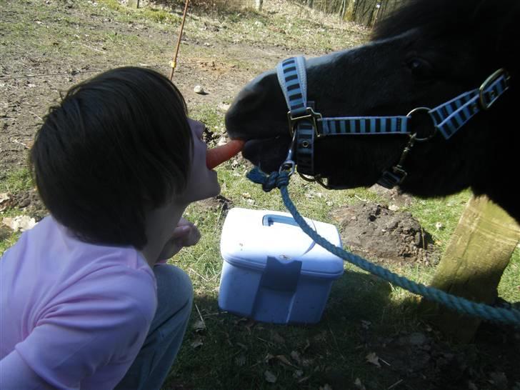 Anden særlig race Laban  - #6 [Foto-Mor] billede 6