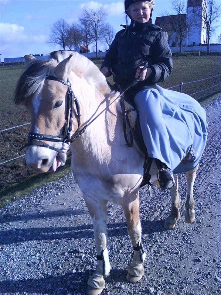 Anden særlig race lucky gamle pony:( - Mig og smukke Lucky på tur første gang billede 12