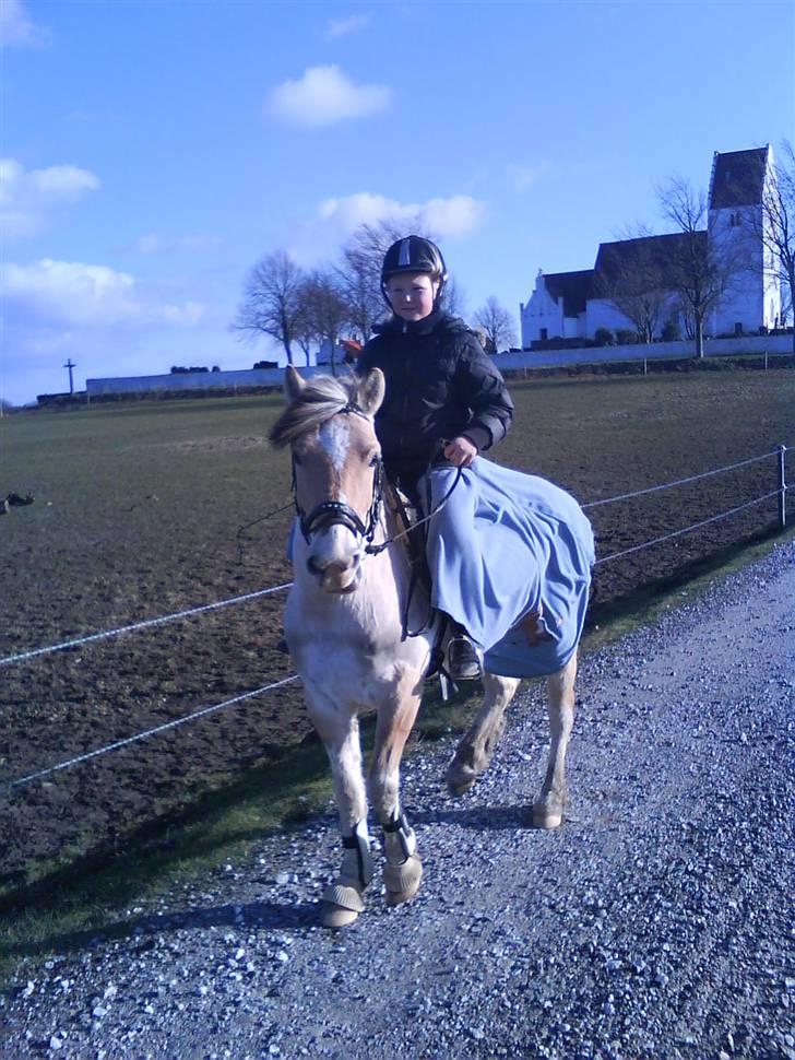 Anden særlig race lucky gamle pony:( - Mig og Luckys 1. tur billede 14