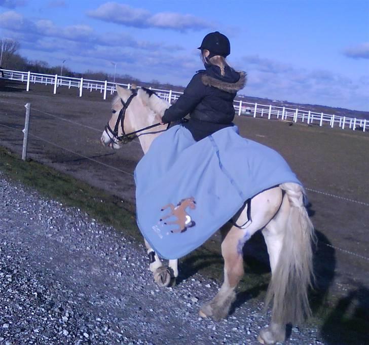 Anden særlig race lucky gamle pony:( - Dejligt vejr.... dejlig tur... billede 15