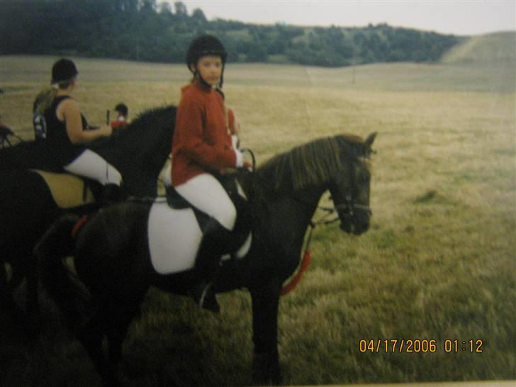 Anden særlig race  Randa  - under Jagten i algestrup - 2 plads billede 12