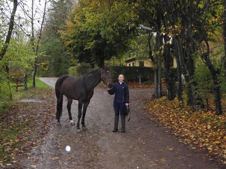 Traver Lady´s Chill - Vores første gå tur sammen     Foto: Dan  billede 19