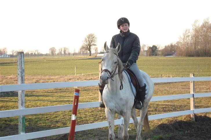 Sportsaraber (A) toftegaarden s zorba billede 7