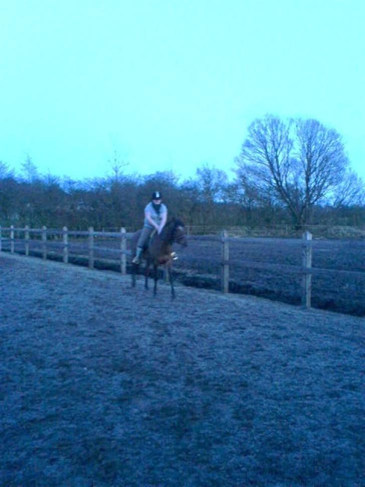 Anden særlig race Donna Cydinor - Hun var så dygtig. :D billede 10