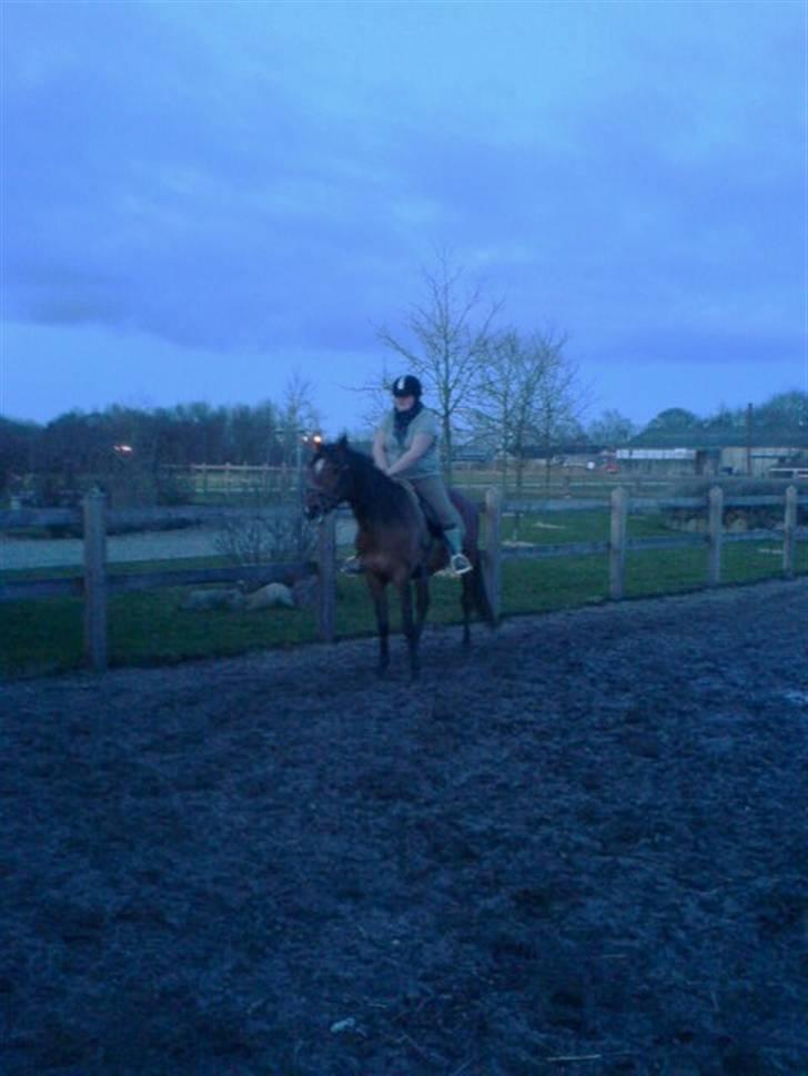 Anden særlig race Donna Cydinor - Taget en "sen" aften for nyligt. :b billede 12