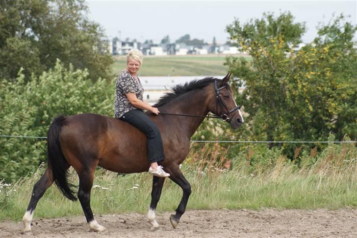 Anden særlig race Jasmin - Foto: Rikke. billede 2