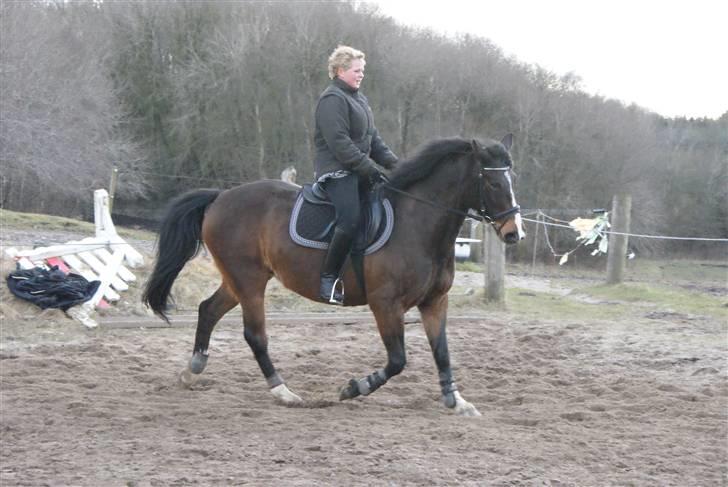 Anden særlig race Jasmin - Foto: Rikke. billede 3