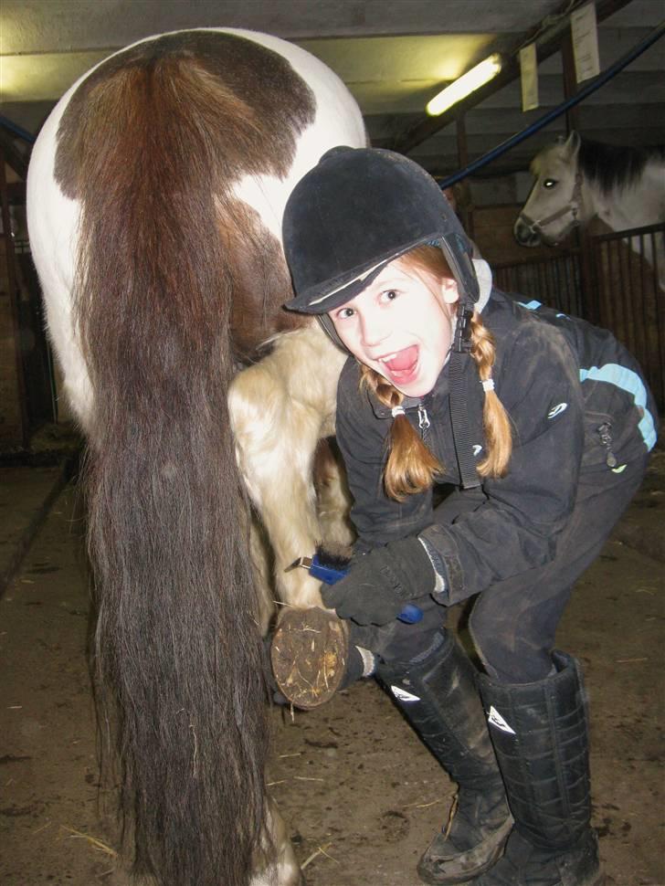 Anden særlig race zicha (pensioneret ) - Når bare enden er god, er alting godt :) billede 19