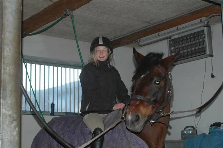 New Forest Sandie Ladager  - Det må man ikke FREDERIKKE! Hehe (-: billede 2